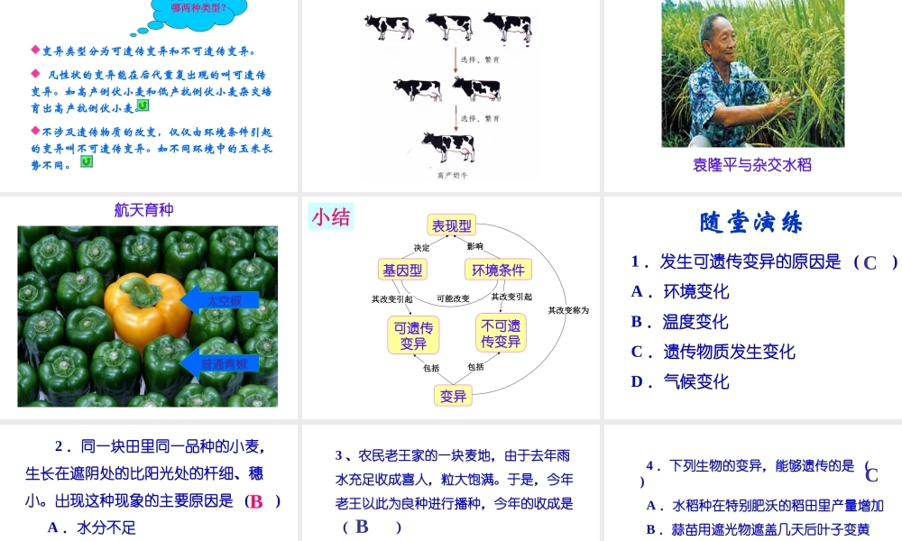 八年级生物上册《遗传与环境》课件1 北师大版