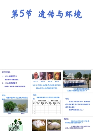 八年级生物上册《遗传与环境》课件1 北师大版