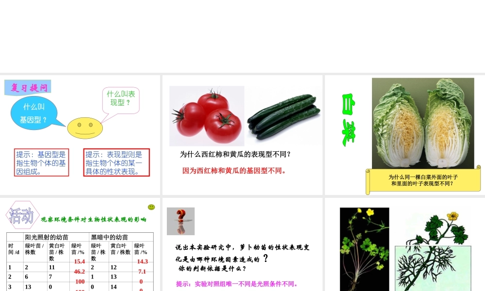 八年级生物上册《遗传与环境》课件2 北师大版