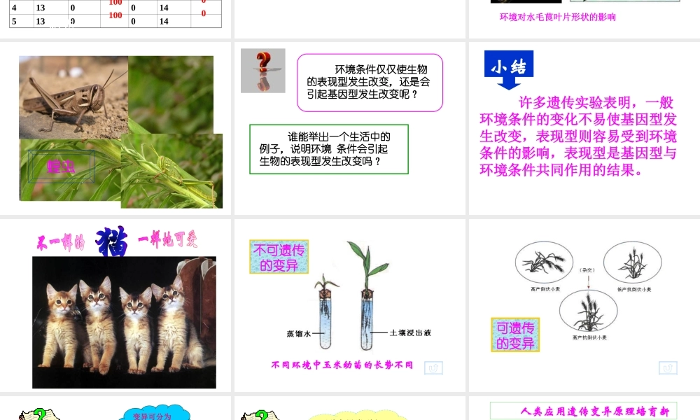 八年级生物上册《遗传与环境》课件2 北师大版