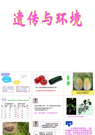 八年级生物上册《遗传与环境》课件2 北师大版