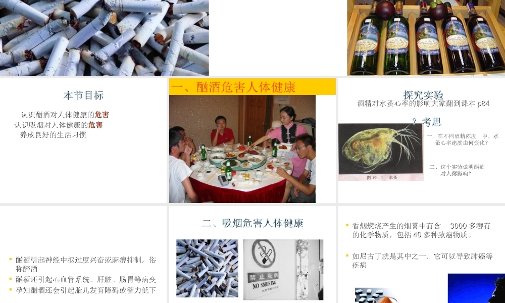 八年级生物上册《远离烟酒》课件 苏教版