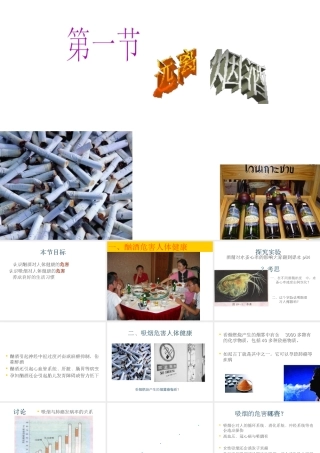 八年级生物上册《远离烟酒》课件 苏教版