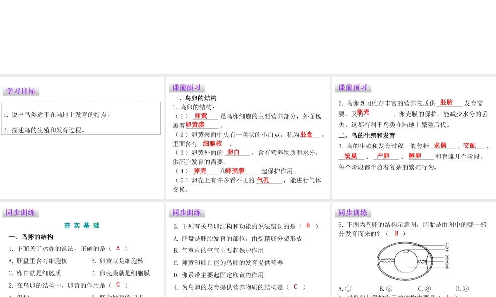 八年级生物下册 7.1.4 鸟的生殖和发育课件（新版）新人教版-（新版）新人教级下册生物课件