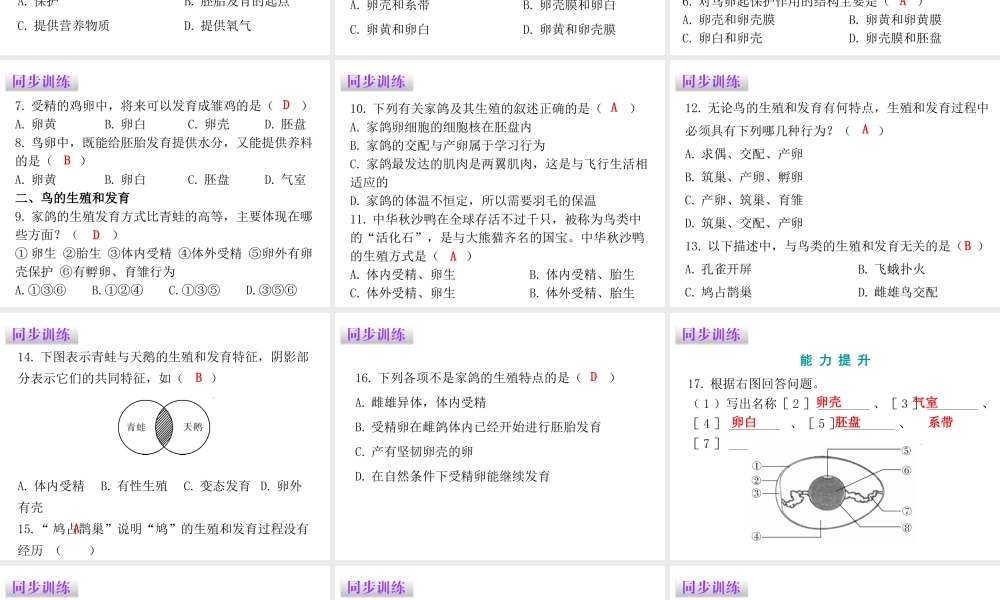 八年级生物下册 7.1.4 鸟的生殖和发育课件（新版）新人教版-（新版）新人教级下册生物课件