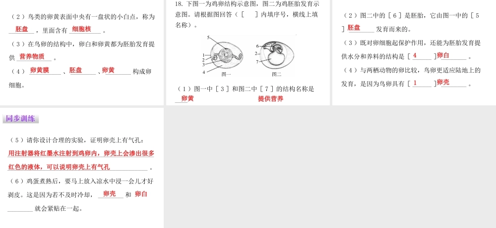 八年级生物下册 7.1.4 鸟的生殖和发育课件（新版）新人教版-（新版）新人教级下册生物课件