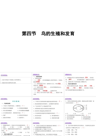 八年级生物下册 7.1.4 鸟的生殖和发育课件（新版）新人教版-（新版）新人教级下册生物课件