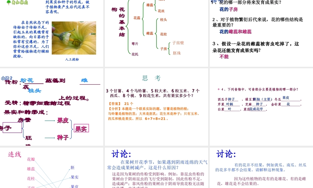 八年级生物下册 6.1.1 有性生殖课件 冀教版