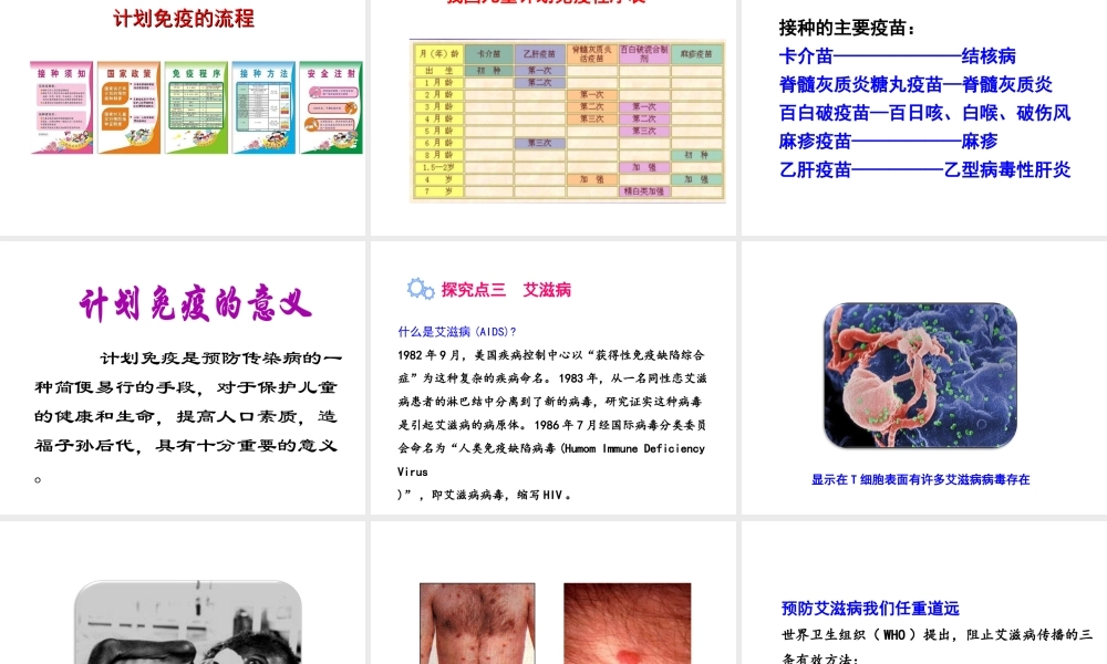 八年级生物下册 8.1.2 免疫与计划免疫（第2课时 免疫的功能与计划免疫、艾滋病）课件 新人教版-新人教级下册生物课件