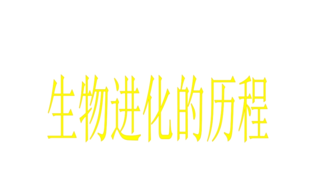八年级生物下册 1.3 生物进化的历程课件 济南版