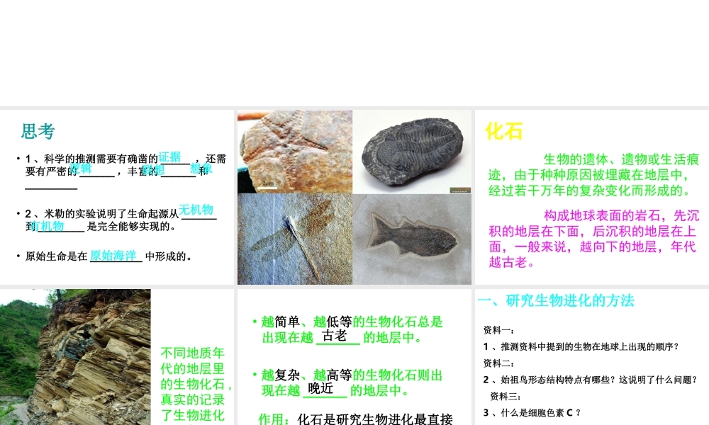 八年级生物下册 1.3 生物进化的历程课件 济南版