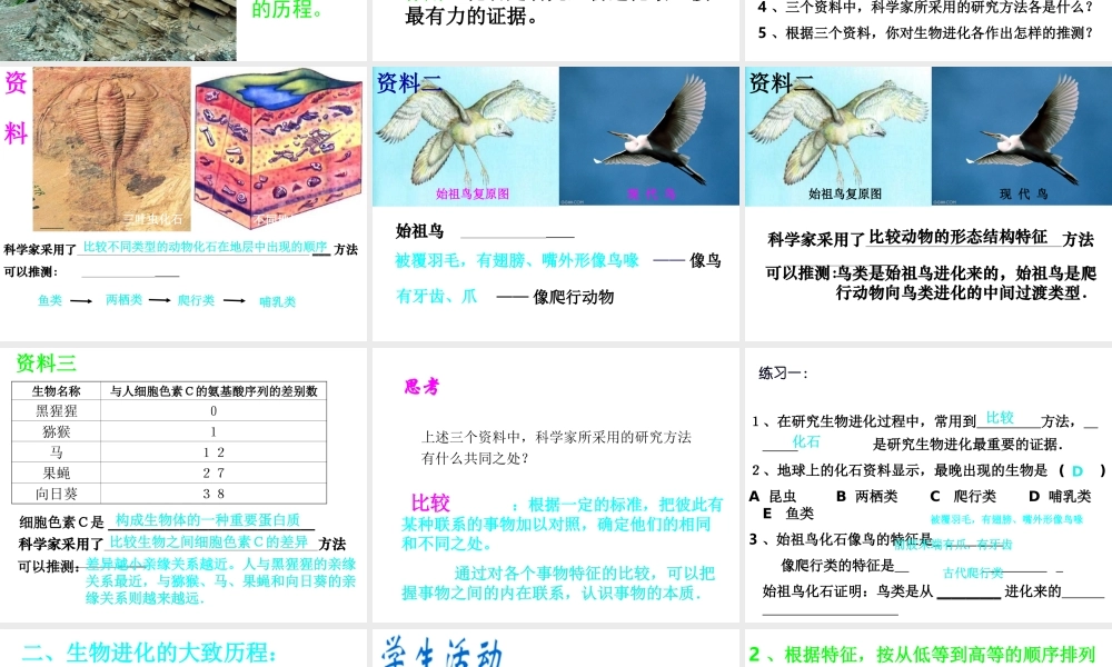 八年级生物下册 1.3 生物进化的历程课件 济南版