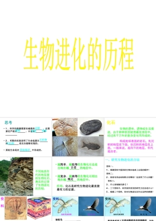 八年级生物下册 1.3 生物进化的历程课件 济南版