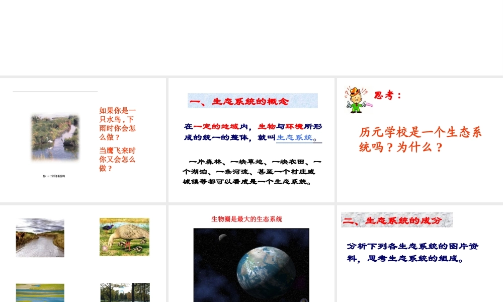 八年级生物下册 6.1.1《生态系统的组成》课件 济南版