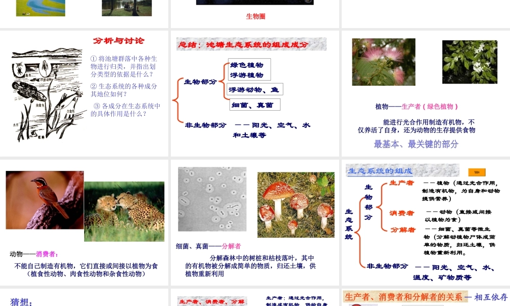 八年级生物下册 6.1.1《生态系统的组成》课件 济南版