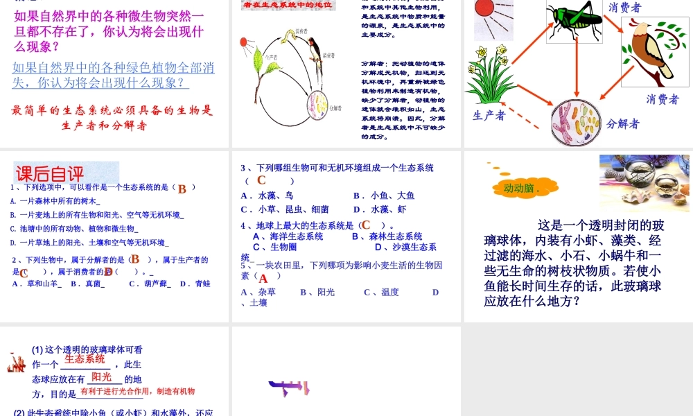 八年级生物下册 6.1.1《生态系统的组成》课件 济南版