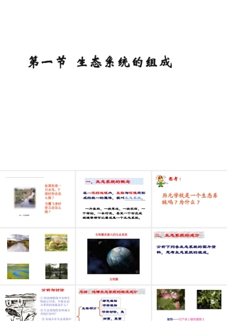 八年级生物下册 6.1.1《生态系统的组成》课件 济南版