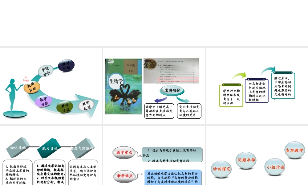 八年级生物下册 7.1.4 鸟的生殖和发育说课课件 （新版）新人教版-（新版）新人教版初中八年级下册生物课件