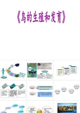 八年级生物下册 7.1.4 鸟的生殖和发育说课课件 （新版）新人教版-（新版）新人教版初中八年级下册生物课件