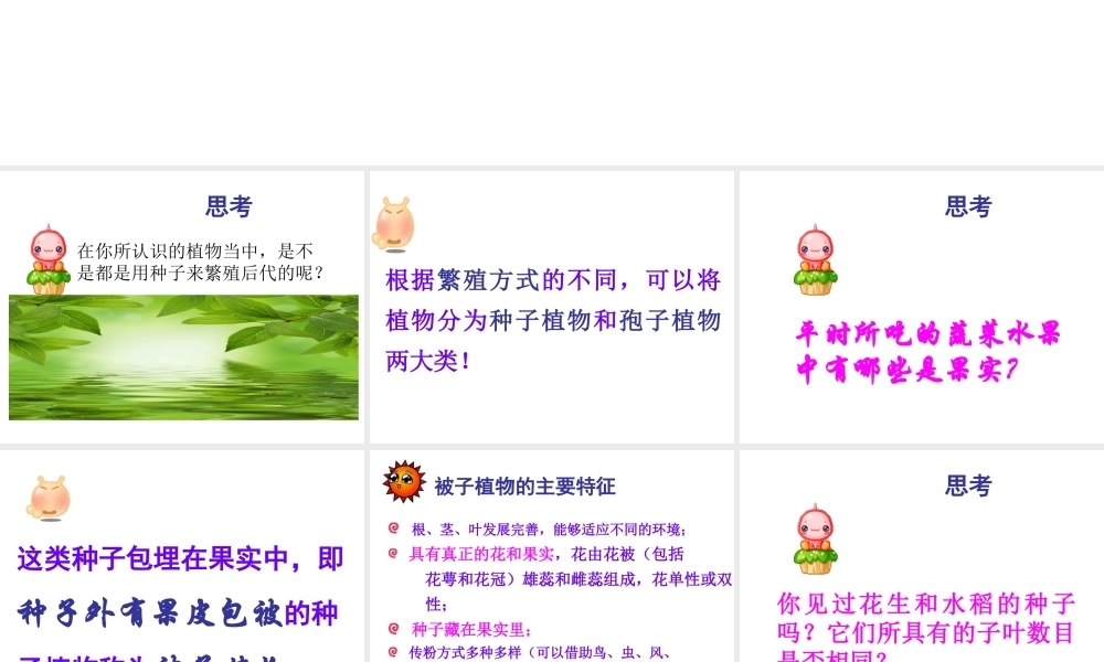 八年级生物下册 2.2.3 植物的主要类群课件 北师大版