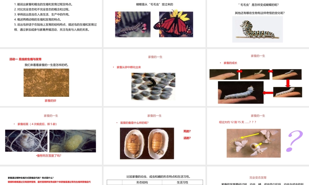 八年级生物下册 6.1.2 动物的生殖和发育课件 （新版）冀教版-（新版）冀教版初中八年级下册生物课件