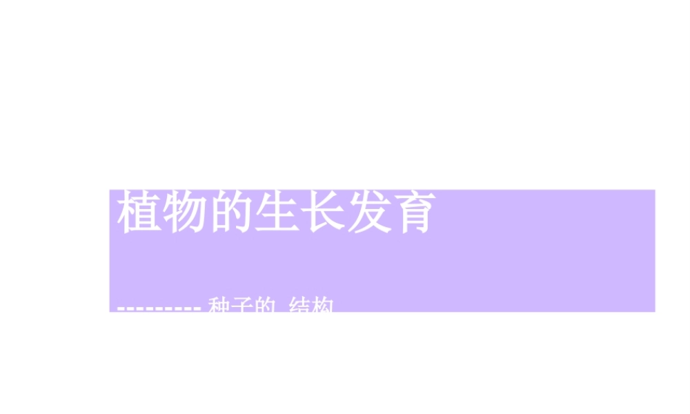 八年级生物上册《植物的生长发育》课件1 苏科版