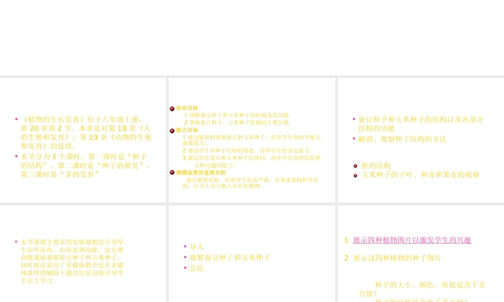 八年级生物上册《植物的生长发育》课件1 苏科版