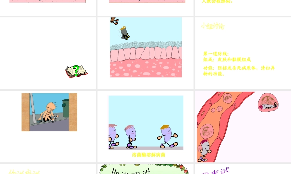 八年级生物下册 5.1.2 计划免疫课件2 鲁科版-鲁科版初中八年级下册生物课件