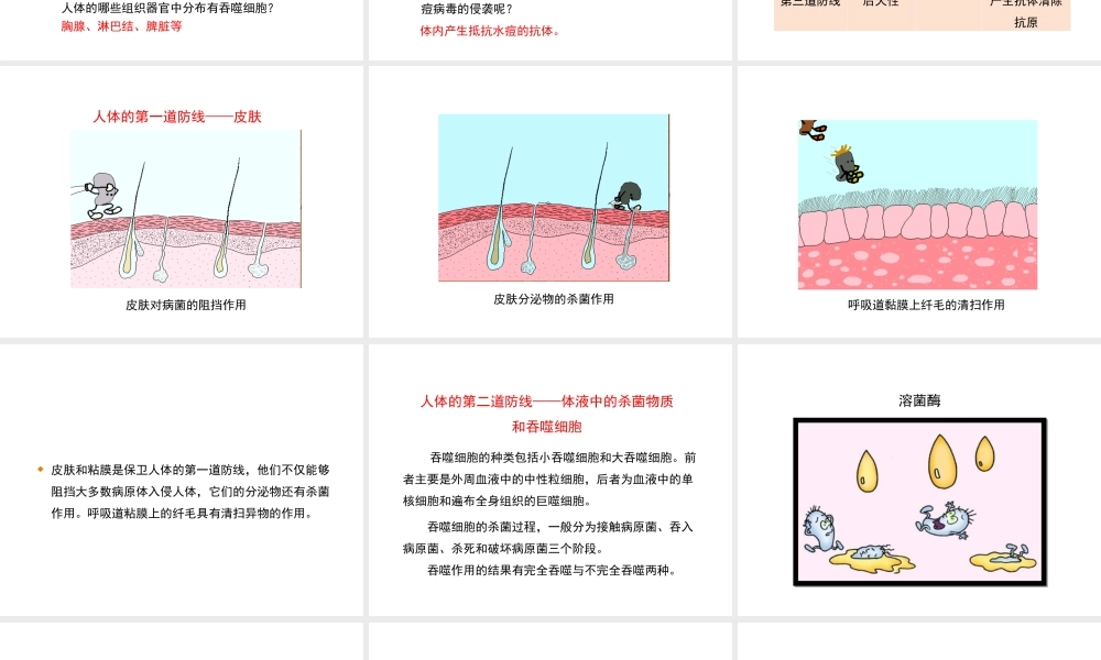 八年级生物下册 8.1.2 免疫与计划免疫教学课件 （新版）新人教版-（新版）新人教版初中八年级下册生物课件