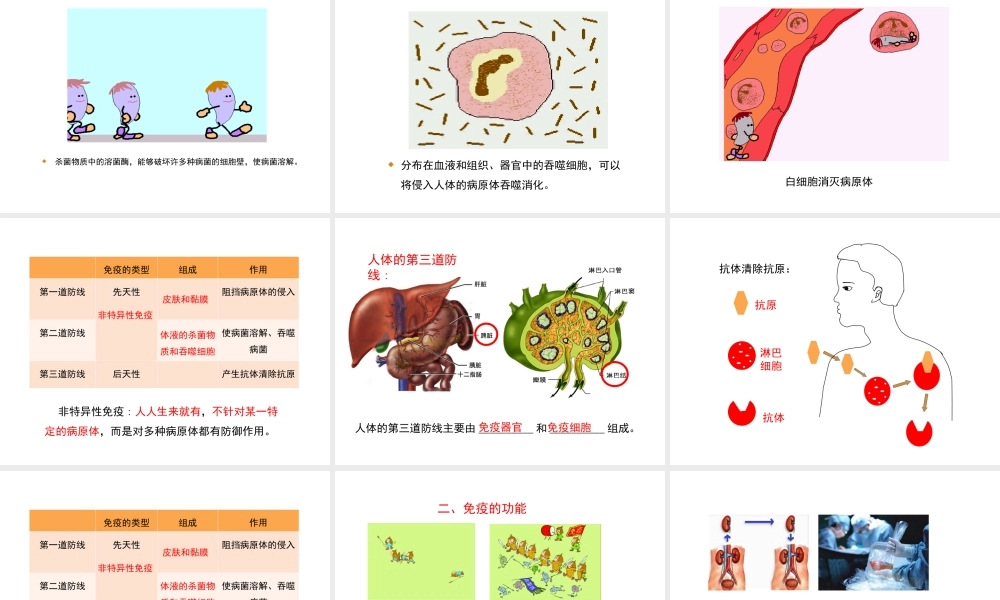 八年级生物下册 8.1.2 免疫与计划免疫教学课件 （新版）新人教版-（新版）新人教版初中八年级下册生物课件