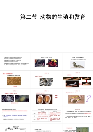 八年级生物下册 6.1.2 动物的生殖和发育课件 （新版）冀教版-（新版）冀教级下册生物课件
