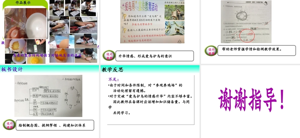 八年级生物下册 7.1.4 鸟的生殖和发育说课课件 （新版）新人教版-（新版）新人教级下册生物课件