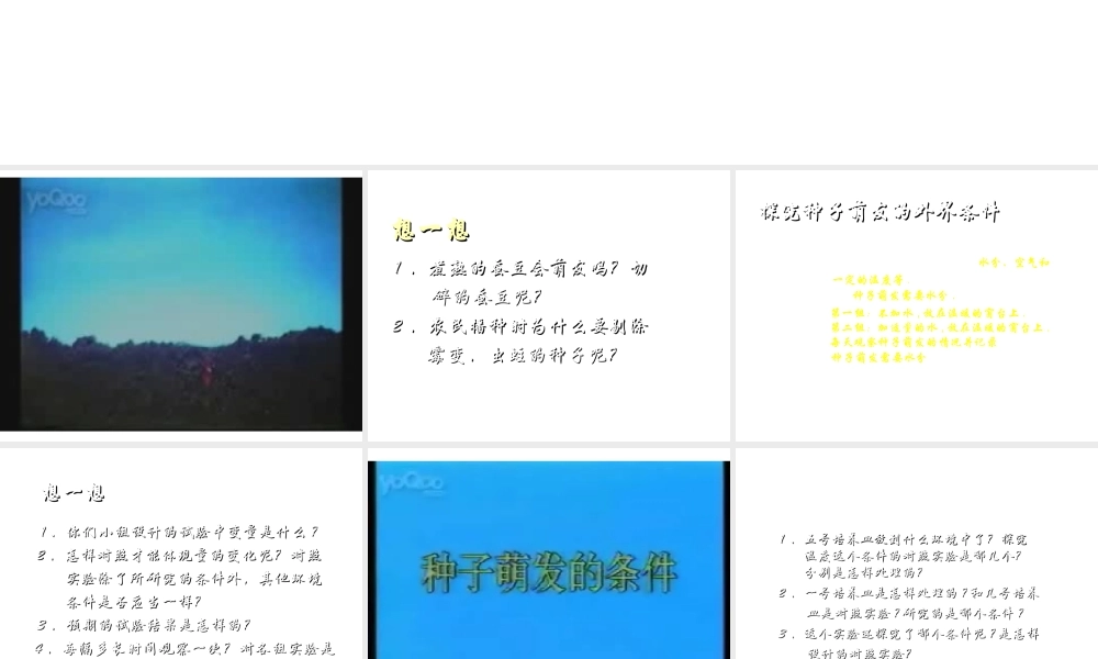 八年级生物上册《植物的生长发育》课件2 苏科版