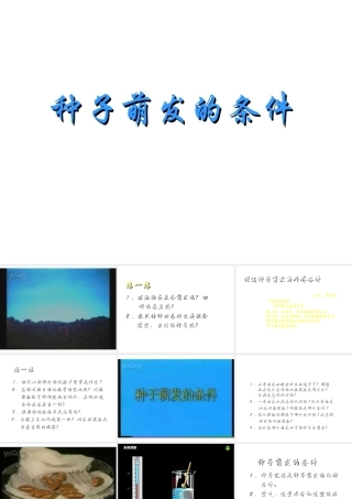 八年级生物上册《植物的生长发育》课件2 苏科版