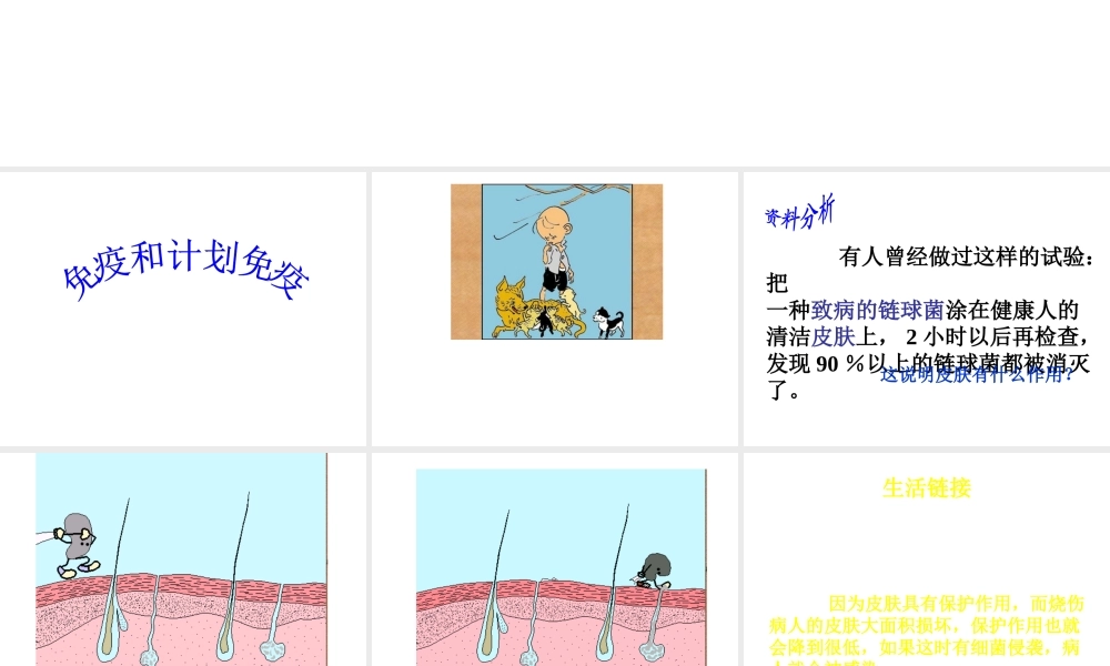 八年级生物下册 5.1.2 计划免疫课件2 鲁科版-鲁科级下册生物课件