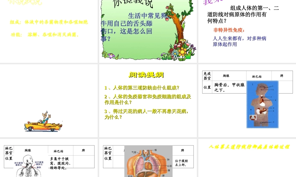 八年级生物下册 5.1.2 计划免疫课件2 鲁科版-鲁科级下册生物课件