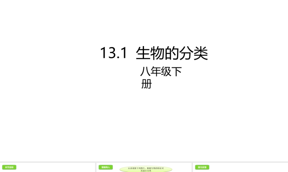 八年级生物下册 13.1 生物的分类课件 北京课改版-北京课改级下册生物课件