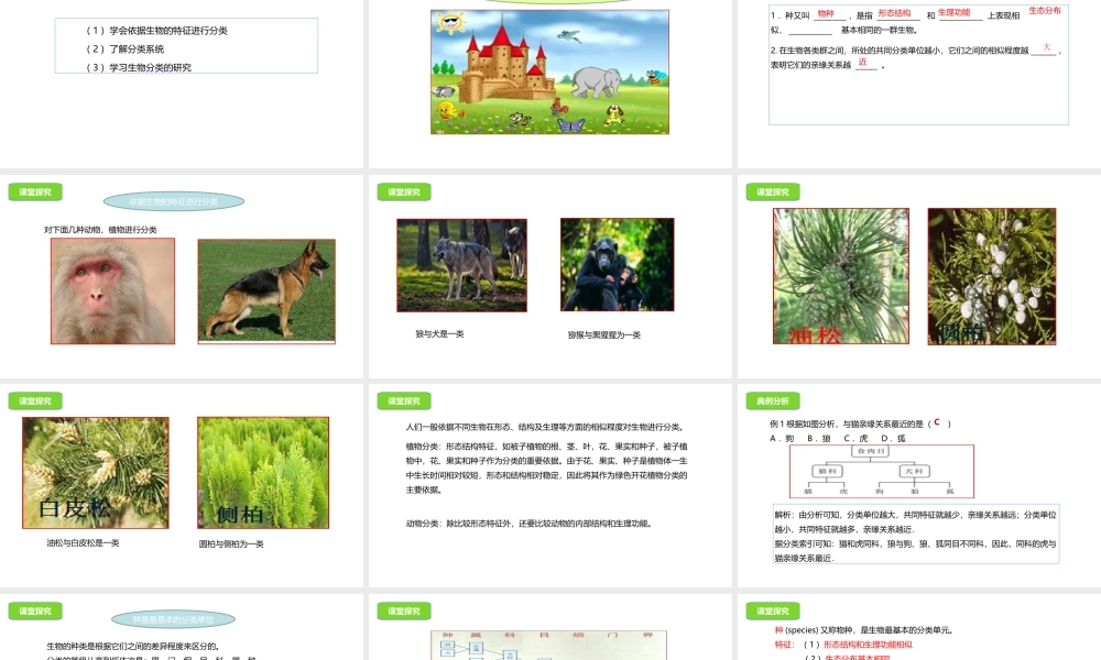 八年级生物下册 13.1 生物的分类课件 北京课改版-北京课改级下册生物课件