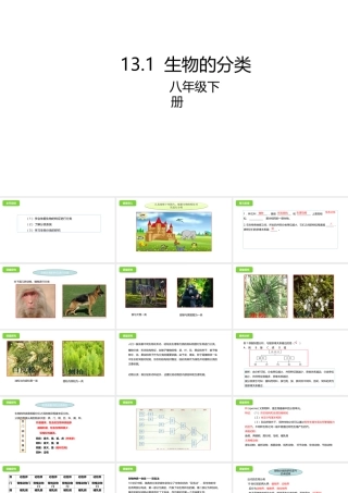 八年级生物下册 13.1 生物的分类课件 北京课改版-北京课改级下册生物课件