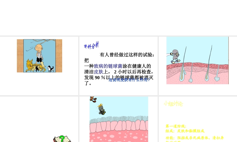 八年级生物下册 5.1.2 免疫和计划免疫课件 鲁科版-鲁科版初中八年级下册生物课件