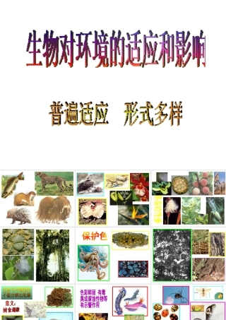 八年级生物下册 6.1.2 生物对环境的适应和影响课件 济南版