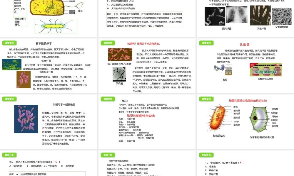 八年级生物下册 13.2 原核生物课件 北京课改版-北京课改版初中八年级下册生物课件
