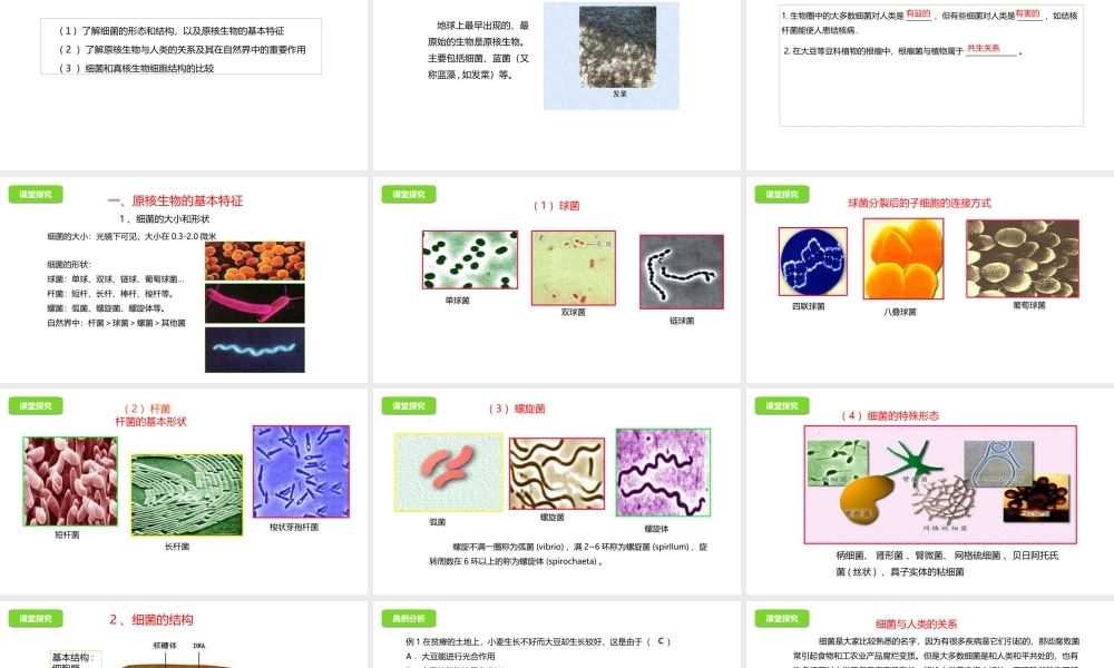 八年级生物下册 13.2 原核生物课件 北京课改版-北京课改级下册生物课件