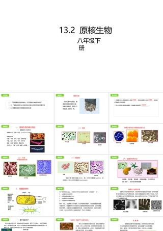 八年级生物下册 13.2 原核生物课件 北京课改版-北京课改级下册生物课件