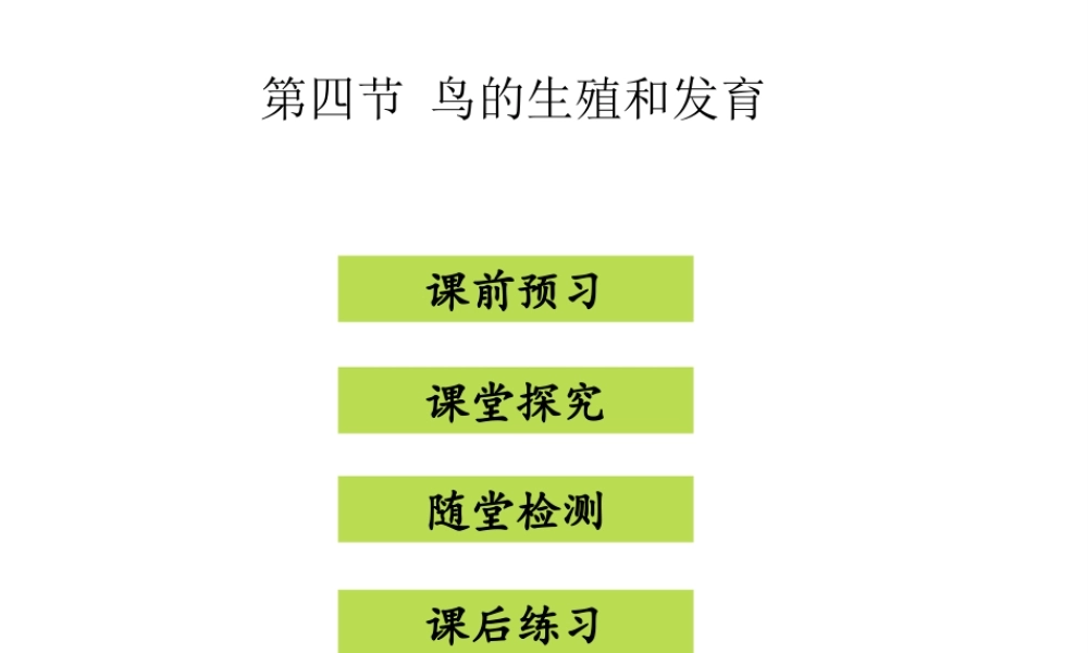 八年级生物下册 7.1.4鸟的生殖和发育课件 （新版）新人教版-（新版）新人教级下册生物课件