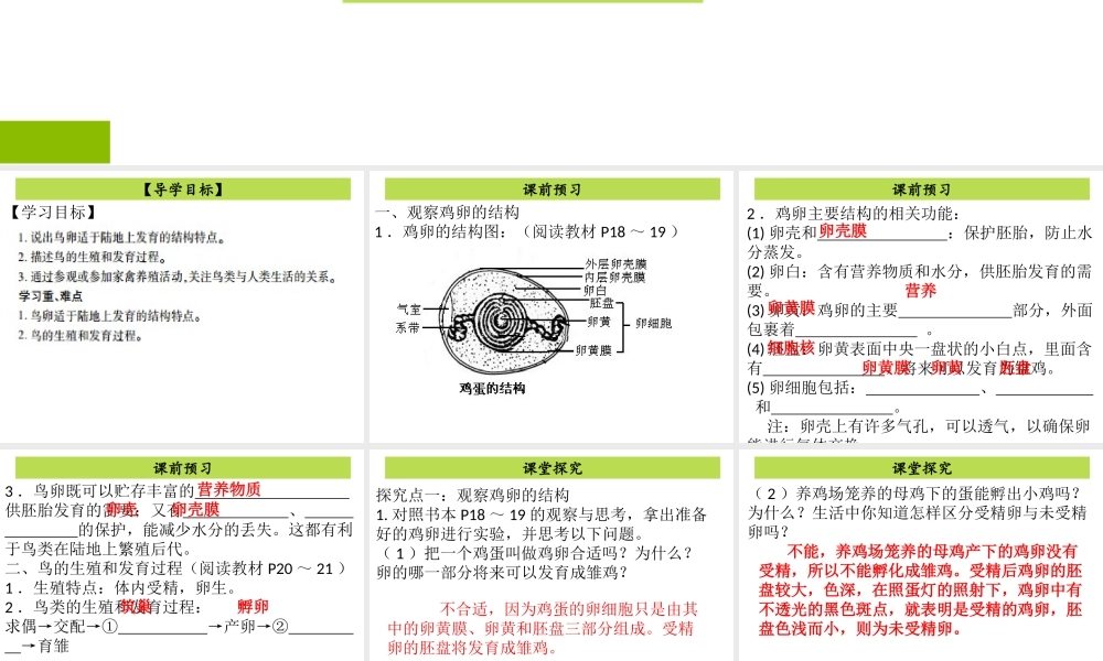 八年级生物下册 7.1.4鸟的生殖和发育课件 （新版）新人教版-（新版）新人教级下册生物课件