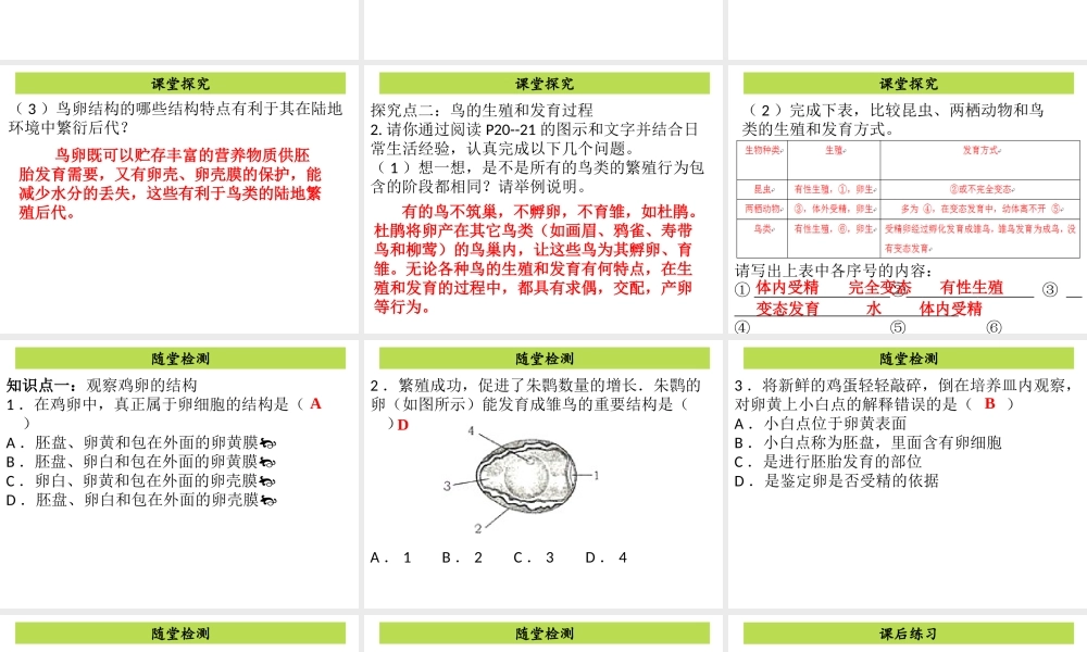 八年级生物下册 7.1.4鸟的生殖和发育课件 （新版）新人教版-（新版）新人教级下册生物课件