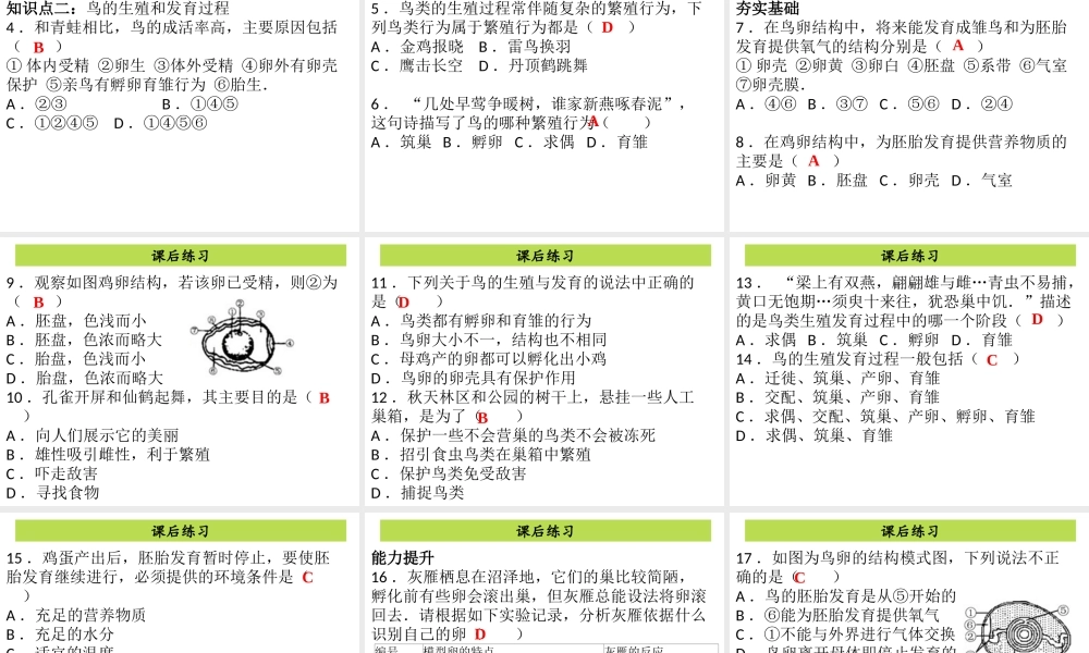 八年级生物下册 7.1.4鸟的生殖和发育课件 （新版）新人教版-（新版）新人教级下册生物课件