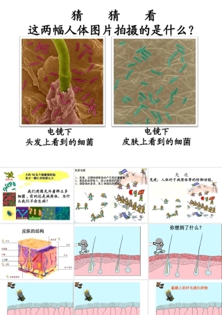 八年级生物下册 8.1.2 免疫与计划免疫课件 （新版）新人教版-（新版）新人教版初中八年级下册生物课件