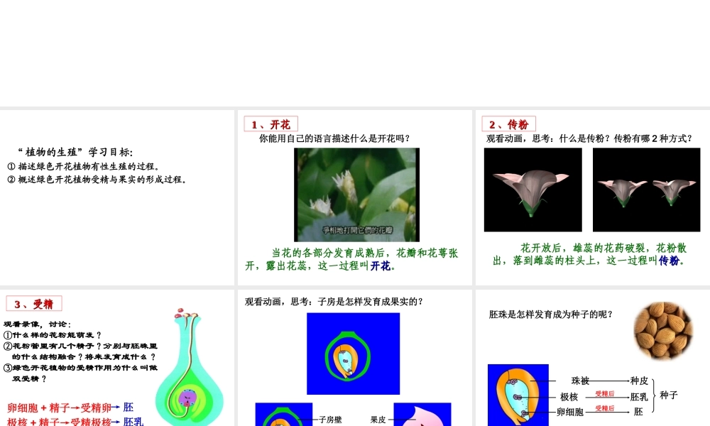 八年级生物上册《植物的生殖》课件2 苏科版